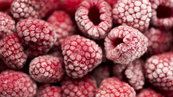 Alimentos congelados