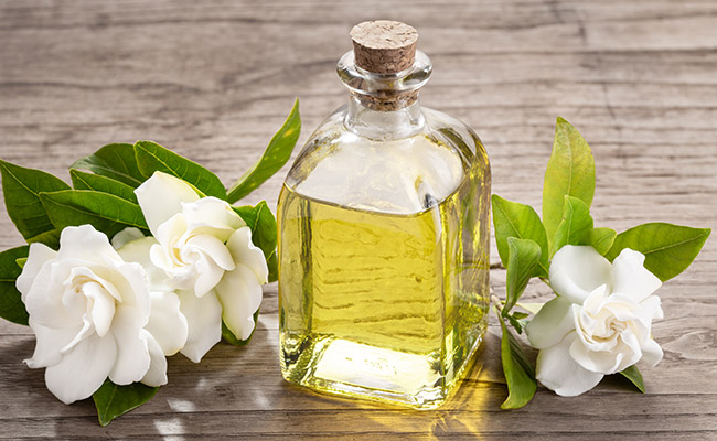 Conkansei - Las plantas que ayudan a dormir mejor: gardenia aceite esencial